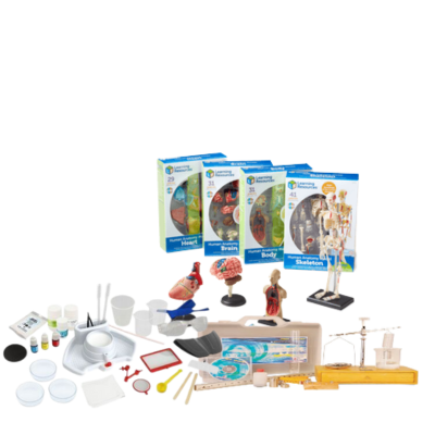 Биология, физика и химия