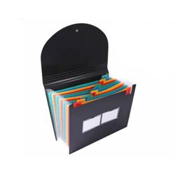 Foska Папка, тип хармоника, A4, с 13 отделения, черна