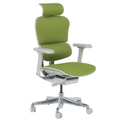 Ергономичен стол ERGOHUMAN ELITE 2 - сива рамка - зелен