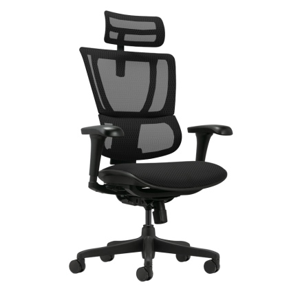 Ергономичен стол ERGOHUMAN IOO BUDGET 2 - черна рамка - черен