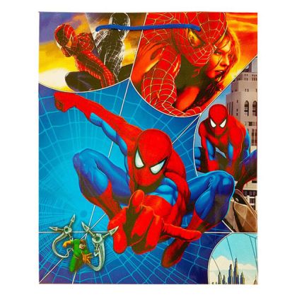 Торбичка Spiderman Foil 18/11/23