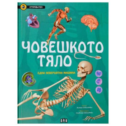 Човешкото тяло една невероятна машина