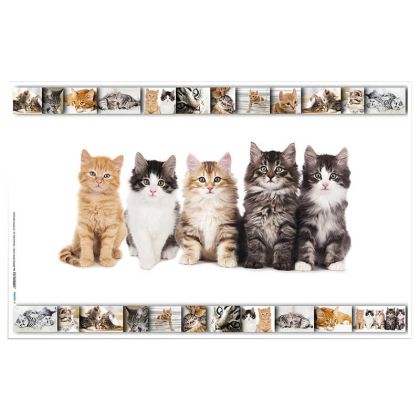 Подложка за бюро 55/35см, Котки
