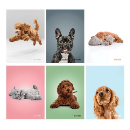 Тетрадка Street, А4, бели листа, 54л, Friends