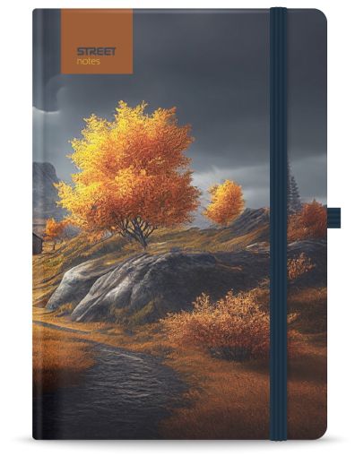 Бележник с ластик B5 Street, твърда корица, 96 листа, SERENITY