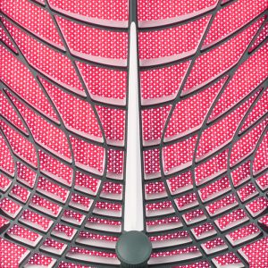 Eргономичен стол Interstuhl Joyce JC267, дамаска и меш, Synchronous механизъм, до 120 kg, светлосив/зелен