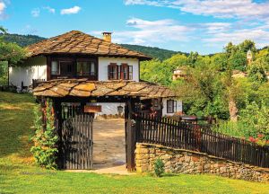 Стенен работен календар РК Аванти с цветна глава, асорти