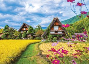 Стенен работен календар РК Аванти с цветна глава, асорти