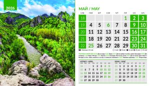 Настолна пирамидка 12-листова, 2026, Природа България