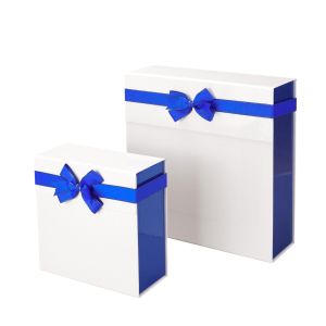 Office 1 Кутия Pearl, сгъваема, 21 х 21 х 9 cm, бяло-синя