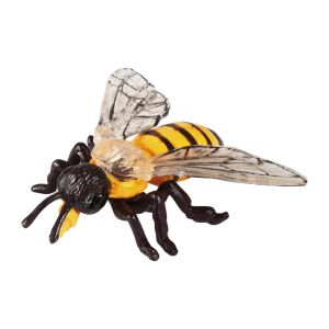 Жизнен цикъл на пчела Eduplay