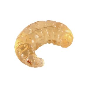 Жизнен цикъл на пчела Eduplay