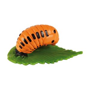 Жизнен цикъл на калинка Eduplay