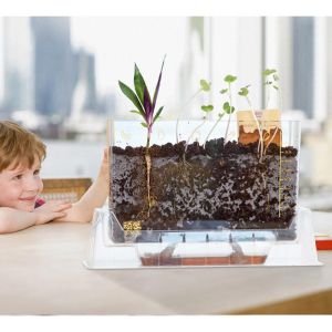 Gelsonlab Лаборатория за растения