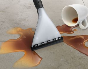 Перяща прахосмукачка Bosch BWD41740, 1700 W