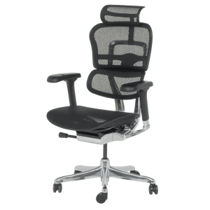 Ергономичен стол ERGOHUMAN ELITE 2 - черна рамка - черен