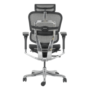 Ергономичен стол ERGOHUMAN ELITE 2 - черна рамка - черен