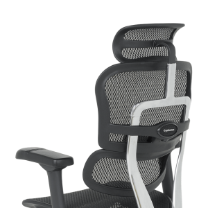 Ергономичен стол ERGOHUMAN ELITE 2 - черна рамка - черен