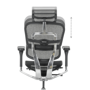 Ергономичен стол ERGOHUMAN ELITE 2 - черна рамка - черен