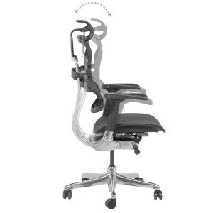 Ергономичен стол ERGOHUMAN ELITE 2 - черна рамка - черен