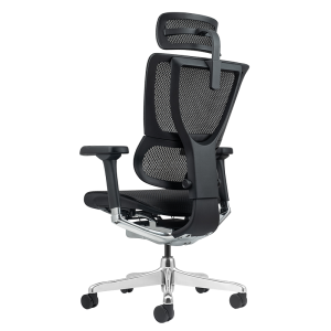 Ергономичен стол ERGOHUMAN ELITE 2 - черна рамка - черен