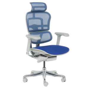 Ергономичен стол ERGOHUMAN ELITE 2 - сива рамка - син