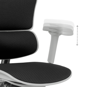 Ергономичен стол ERGOHUMAN ELITE 2 - сива рамка - черен