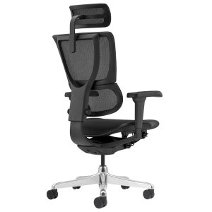 Ергономичен стол ERGOHUMAN IOO ULTRA - черна рамка - черен