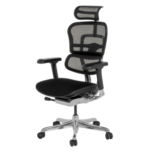 Ергономичен стол ERGOHUMAN ELITE 2 - черна рамка - черен