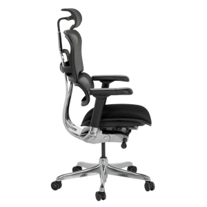 Ергономичен стол ERGOHUMAN ELITE 2 - черна рамка - черен