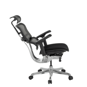 Ергономичен стол ERGOHUMAN ELITE 2 - черна рамка - черен