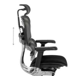 Ергономичен стол ERGOHUMAN ELITE 2 - черна рамка - черен