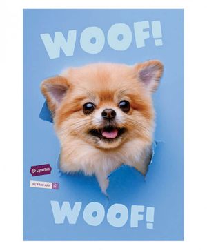 Тетрадка A4 Mar Mar мат/UV Woof, 40+2л, ред