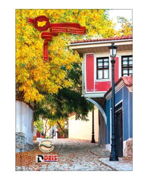 Тетрадка Deis А4,100л, редове, шити,твърда корица  09292