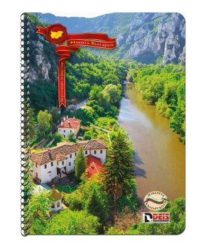 Тетрадка Deis А5,120л,  редове, спирала, твърди корици, 3теми 09208