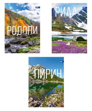 Тетрадка A4 Spree, 40+2л, ред