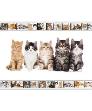 Подложка за бюро 55/35см, Котки