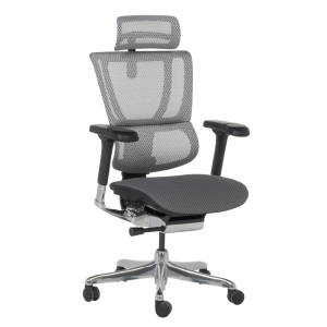 Ергономичен стол ERGOHUMAN IOO ELITE 2 - сива рамка - сив