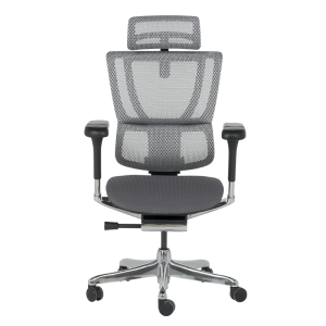 Ергономичен стол ERGOHUMAN IOO ELITE 2 - сива рамка - сив