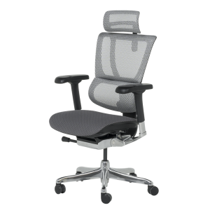 Ергономичен стол ERGOHUMAN IOO ELITE 2 - сива рамка - сив