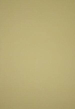 Самозалепваща хартия А4, опаковка 10, бледо жълто P-1205