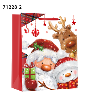 Подаръчна торбичка XMAS M, 71228, 17.8x22.9x9.8cm