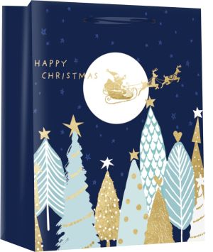 Подаръчна торбичка XMAS Special Medium,18x23x10 cm, 71263