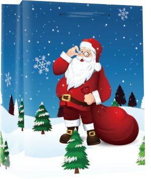 Подаръчна торбичка XMAS Special Large, 26x32x12 cm, 71205