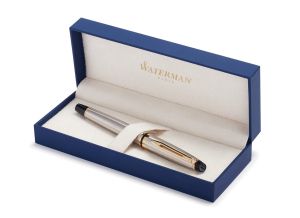 Писалка Waterman Expert Stainless Steel GT