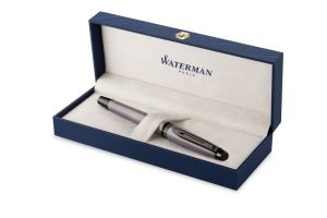 Писалка Waterman Expert SE Metallic Silver