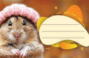 Етикети за тетрадка Street Animals Cute, опаковка 10 бр.