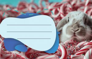 Етикети за тетрадка Street Animals Cute, опаковка 10 бр.