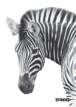 Тетрадка Street, А4, широки редове , 54 листа, Safari