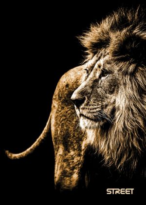 Тетрадка Street, А4, широки редове , 54 листа, Safari